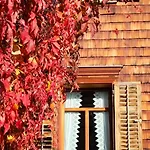 Ritter Daire Schwarzenberg im Bregenzerwald