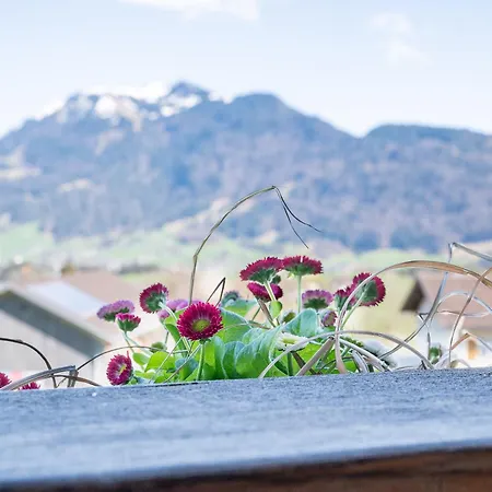 Ritter * Schwarzenberg im Bregenzerwald