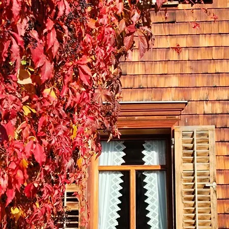 Ritter Apartamento Schwarzenberg im Bregenzerwald