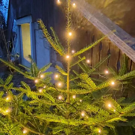 Appartement Ritter *